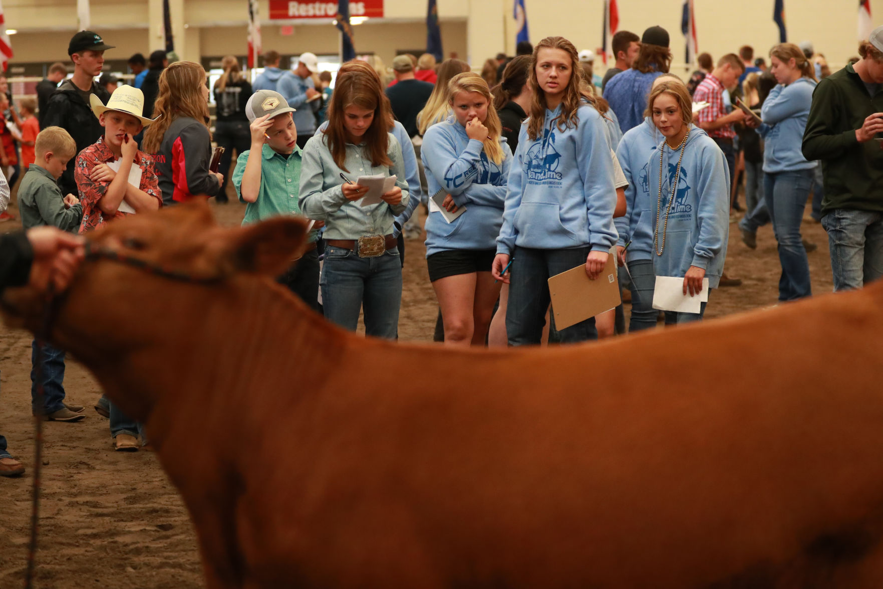 061819_RedAngusJudging16_bjs.JPG